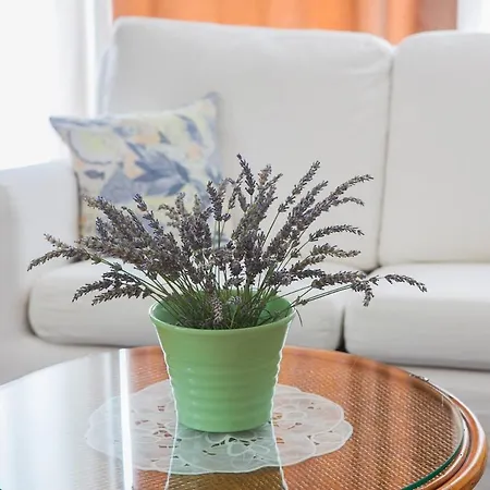 Bony Apartament Zadar