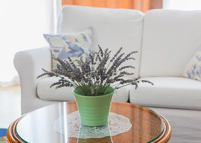 Bony דירה זאדאר